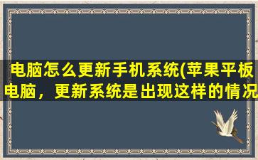 电脑怎么更新手机系统(苹果平板电脑，更新系统是出现这样的情况support. apple. com  i是什么原因呢)